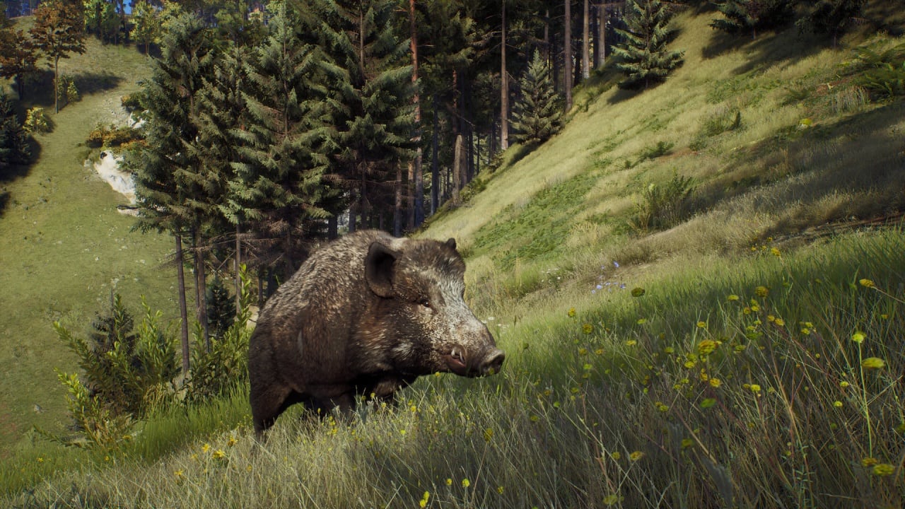 猎人之路 Way of the Hunter v 1.22.0.94614 + DLC +极光海岸-精英版